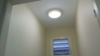 BLP Peinture - Peinture - iBat.nc